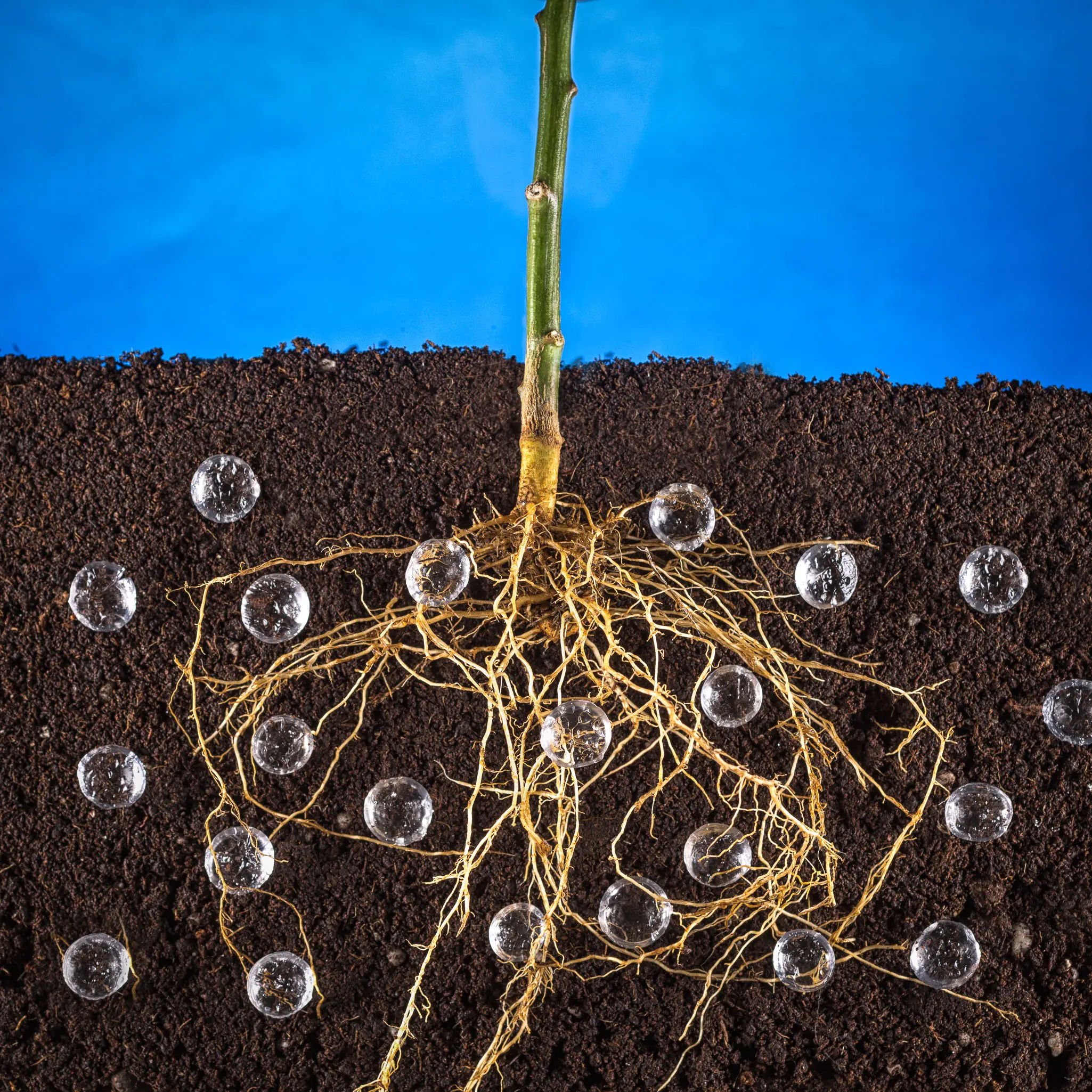 Idrovita Wasserspeicherndes Granulat 50 g Idrovita Wasserspeicherndes Granulat 50 g