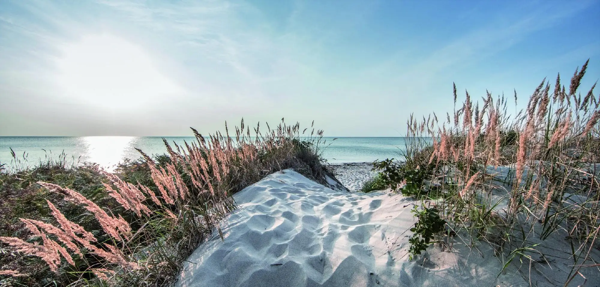 Deco-Block Bild - Strandweg 60 x 29 cm Deco-Block Bild - Strandweg 60 x 29 cm