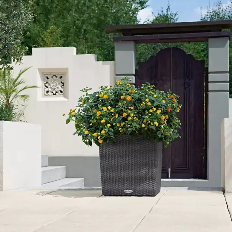 Lechuza Pflanzgefäß Cube Cottage 40 granit Lechuza Pflanzgefäß Cube Cottage 40 granit