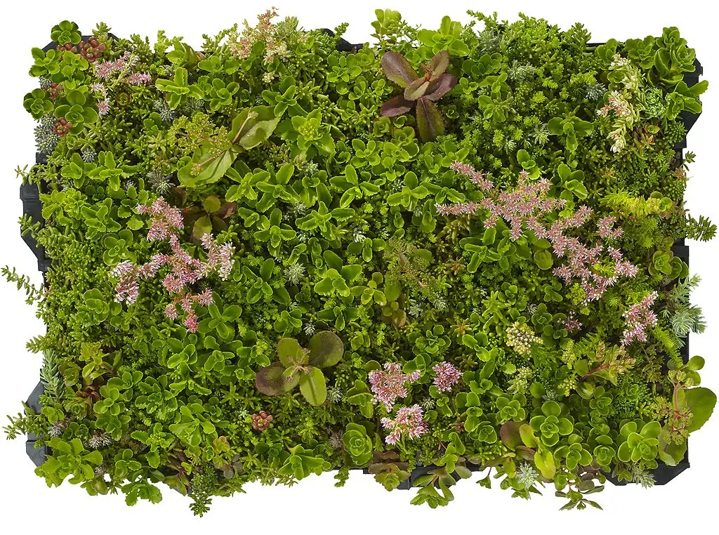 Plantile Dachbegrünungs-Komplettset mit Folie und Vlies für 22 m² Dachfläche