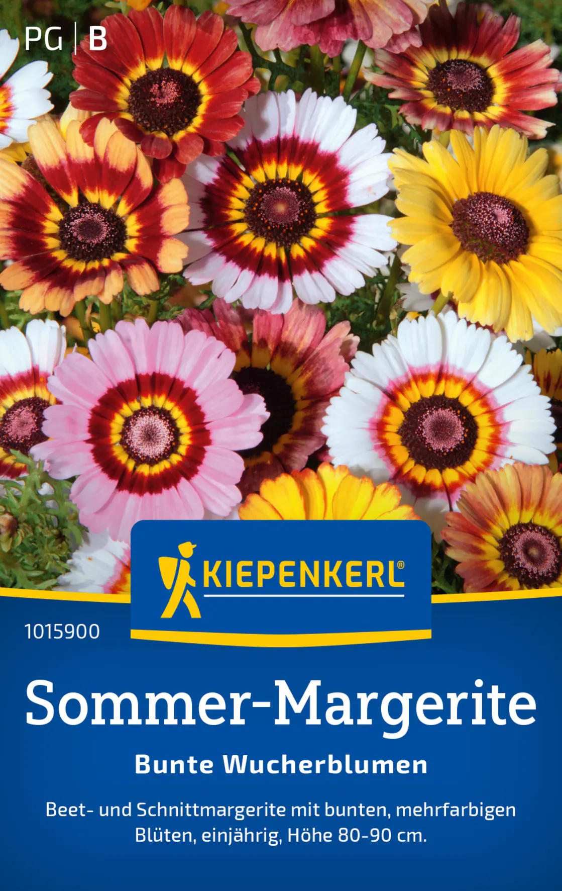 Kiepenkerl Blumensamen Sommer-Margeriten Bunte Wucherblumen für ca. 100 Pflanzen