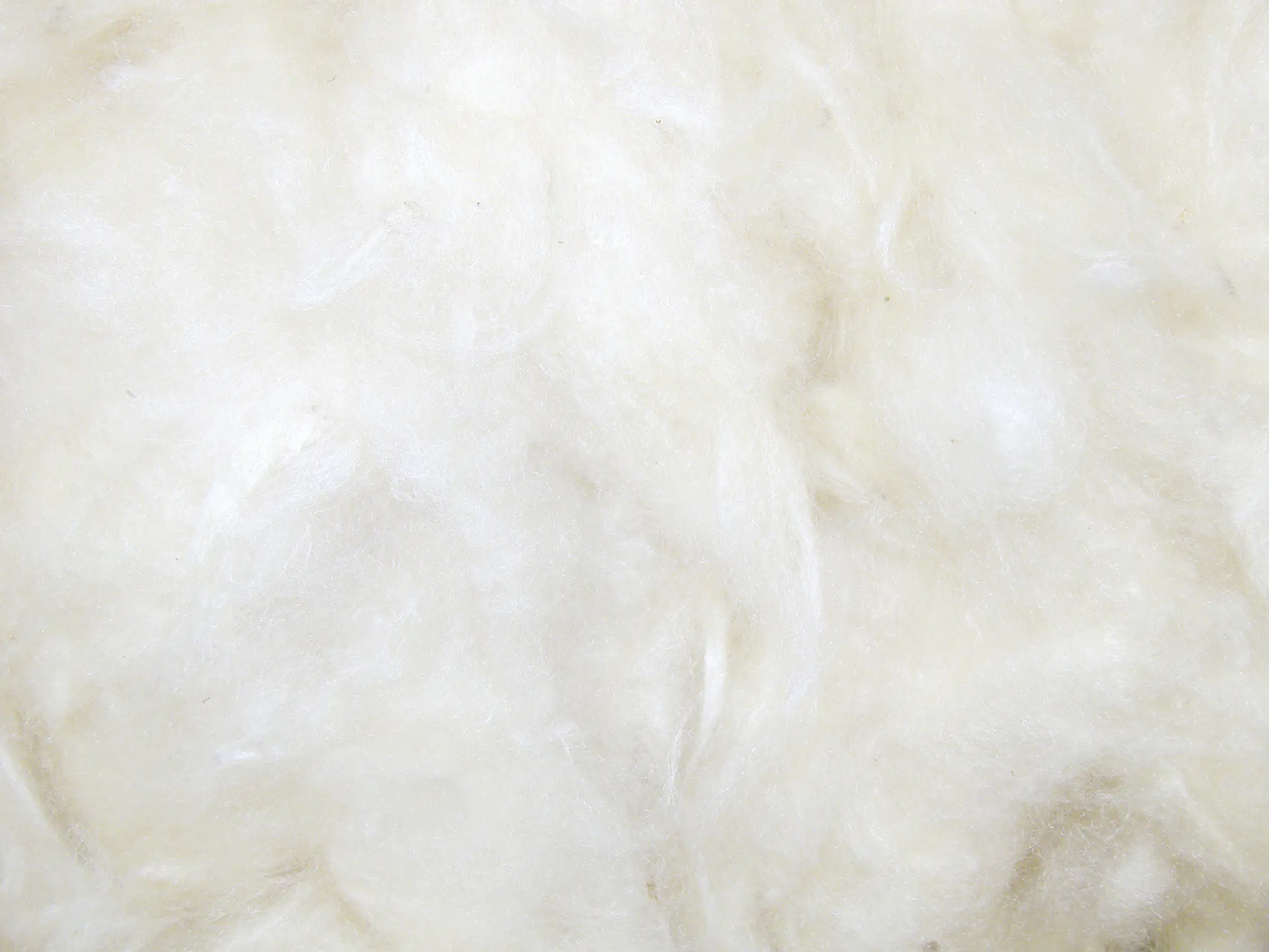 Nobby Kapokwolle 50 g