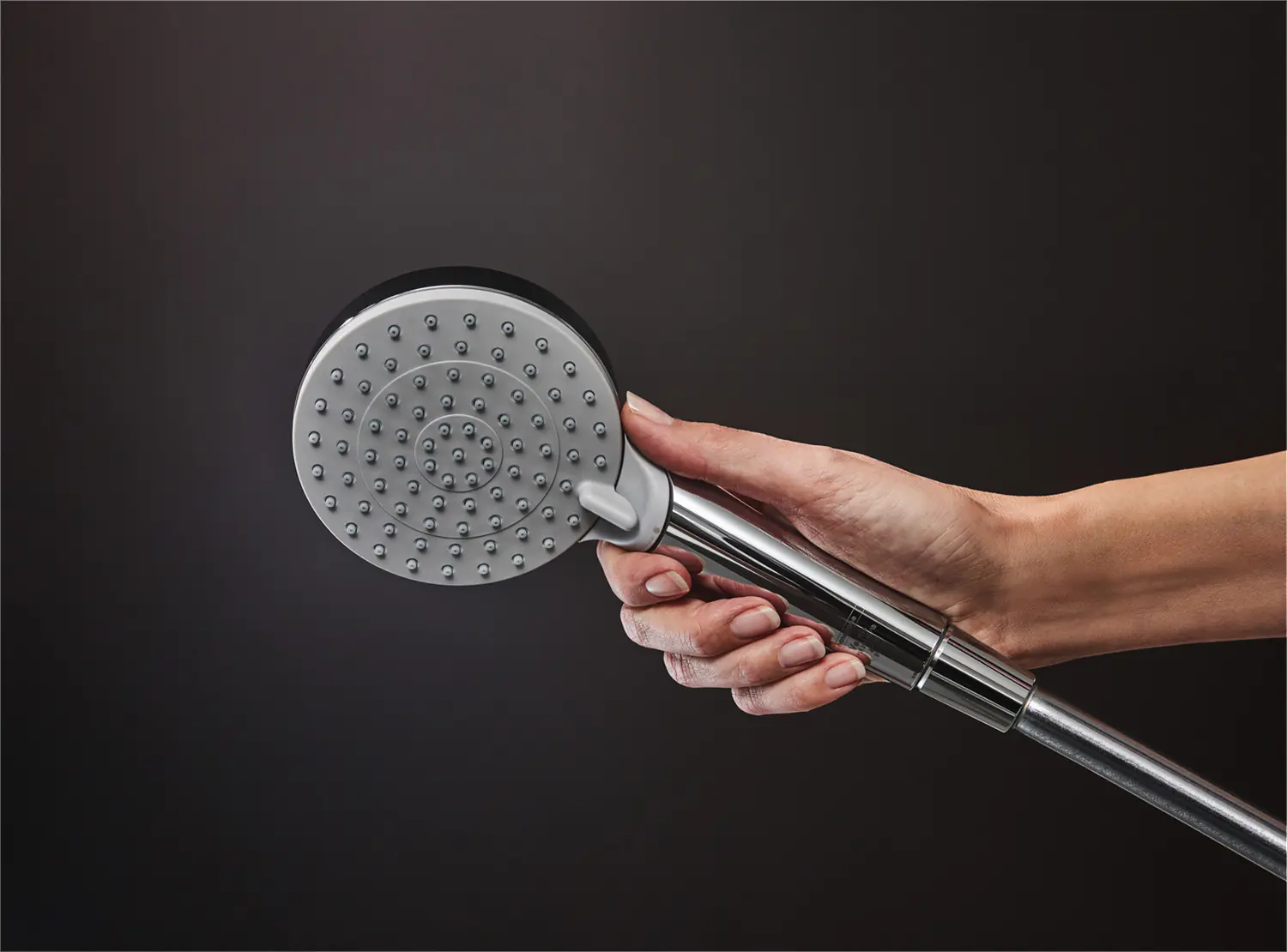 Hansgrohe Handbrause 2 Strahlarten Vernis Blend silber/chrom