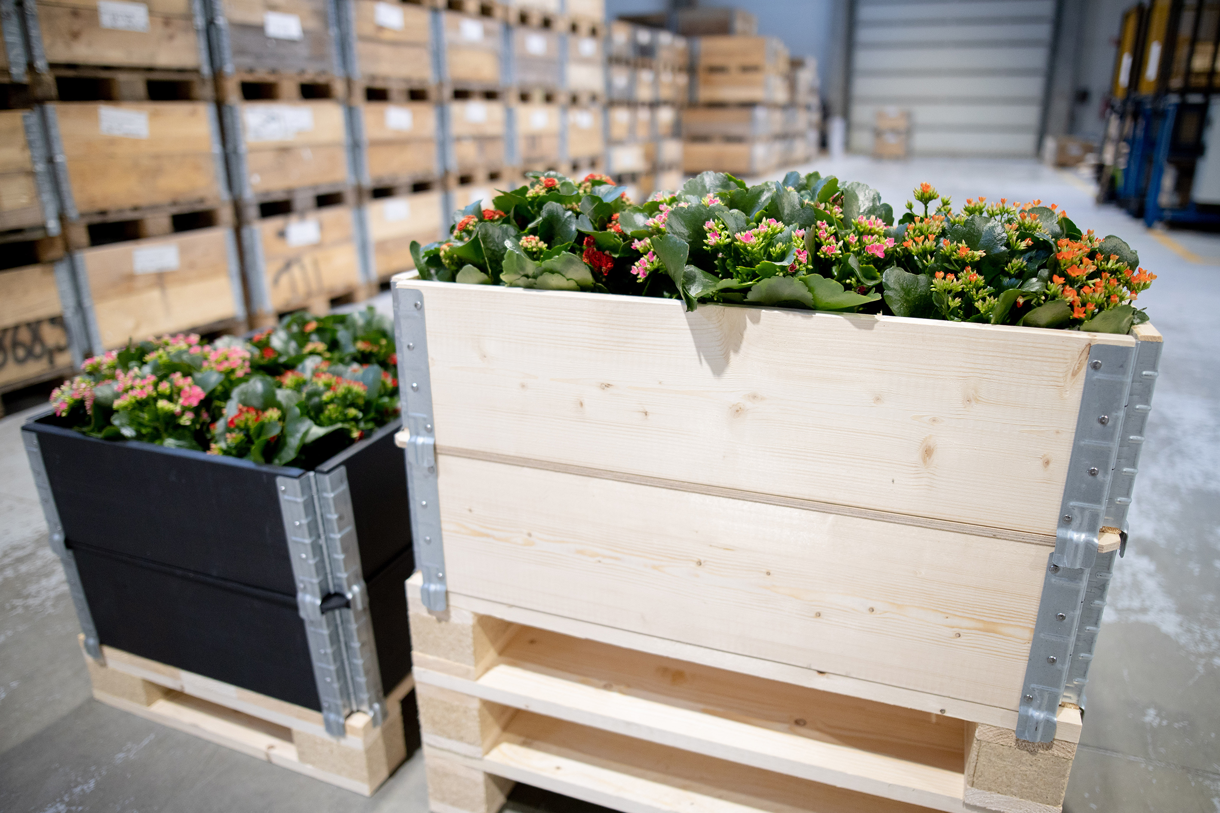 Kronus Palettenrahmen Hochbeet 120 x 80 cm, stapelbar Kronus Palettenrahmen Hochbeet 120 x 80 cm, stapelbar
