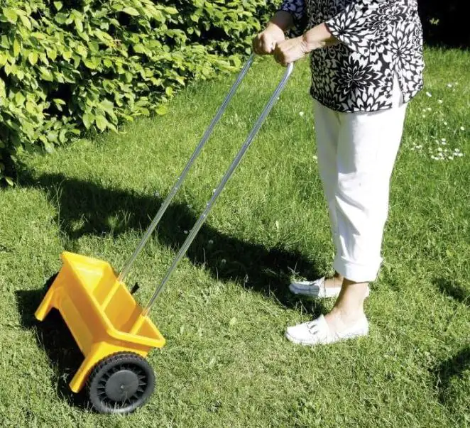 Floraworld Streuwagen 12 L, 45 cm