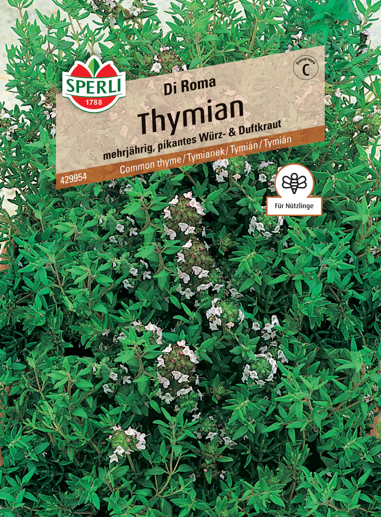 Sperli Thymian Di Roma Sperli Thymian Di Roma