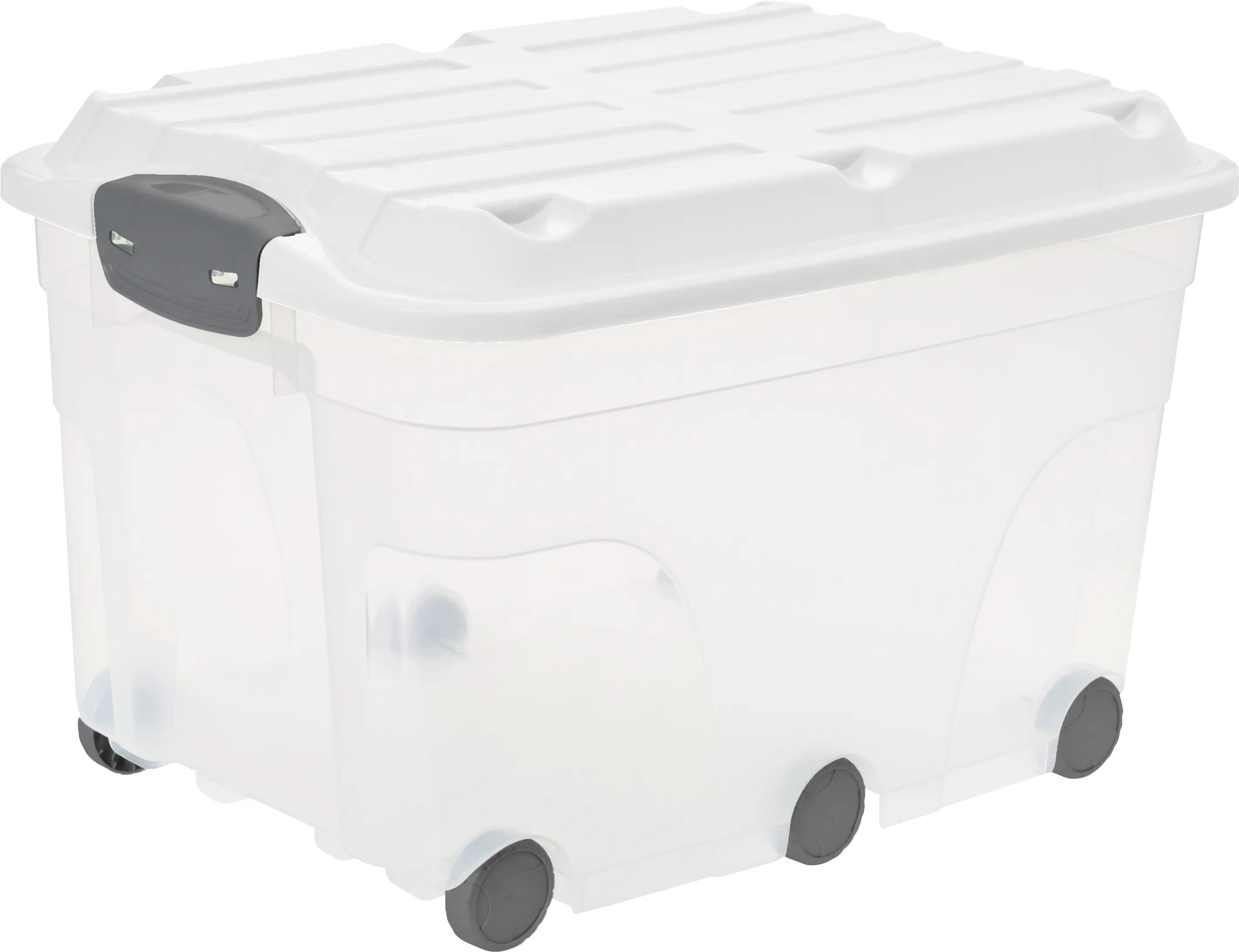 Rotho Aufbewahrungsbox mit Deckel 59,5 x 40 x 37 cm mistletoe