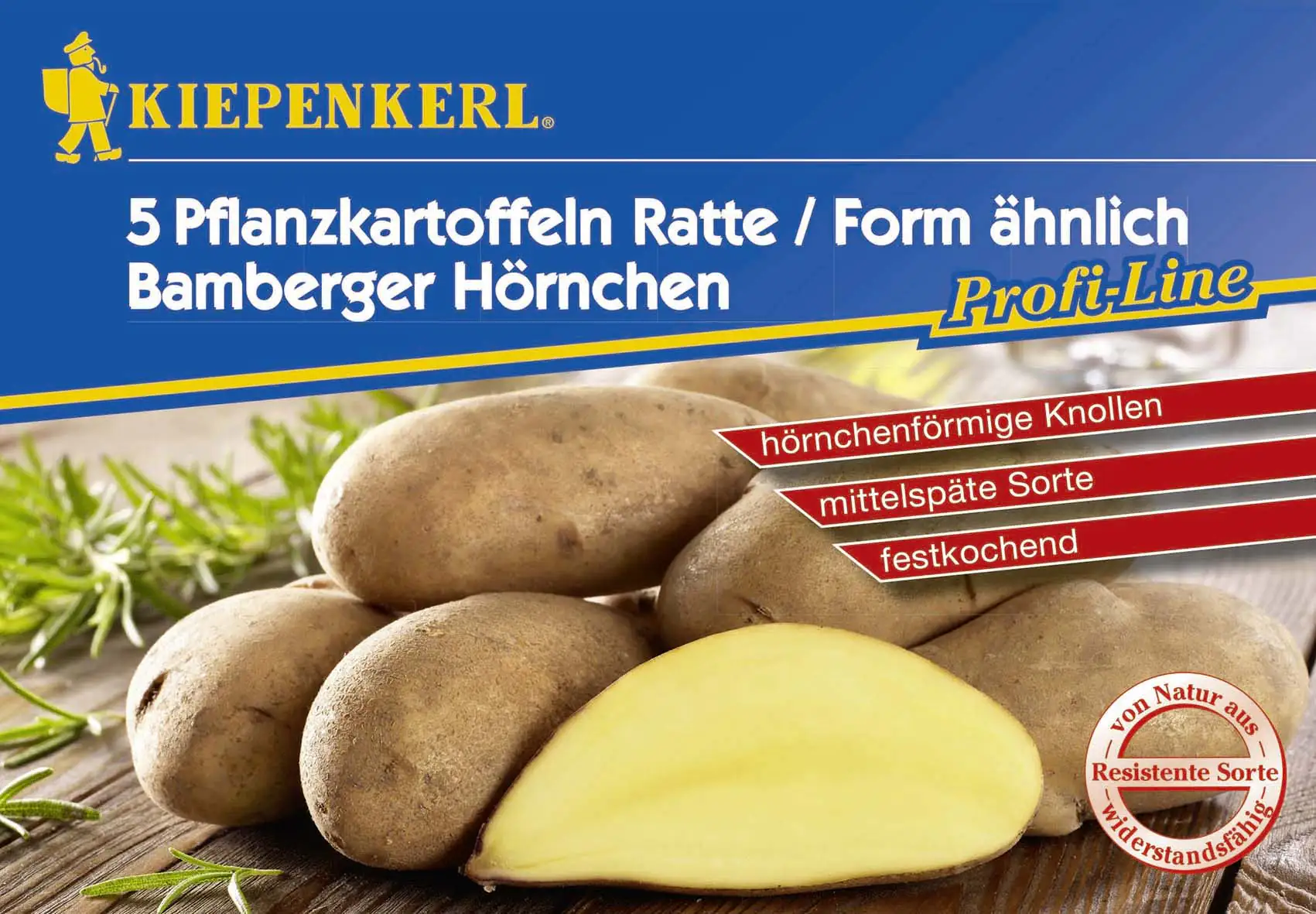 Kiepenkerl Pflanzkartoffel Ratte/Bamberger Hörnchen 5 Stück Kiepenkerl Pflanzkartoffel Ratte/Bamberger Hörnchen 5 Stück