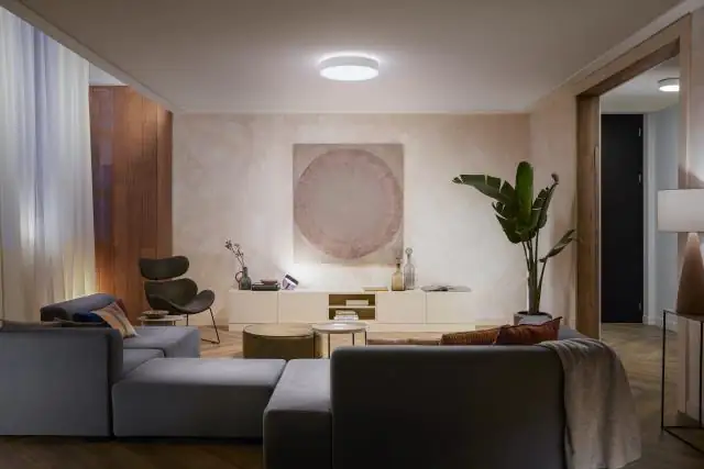 Philips Hue LED Deckenleuchte White Ambiance Enrave warmweiß-kaltweiß