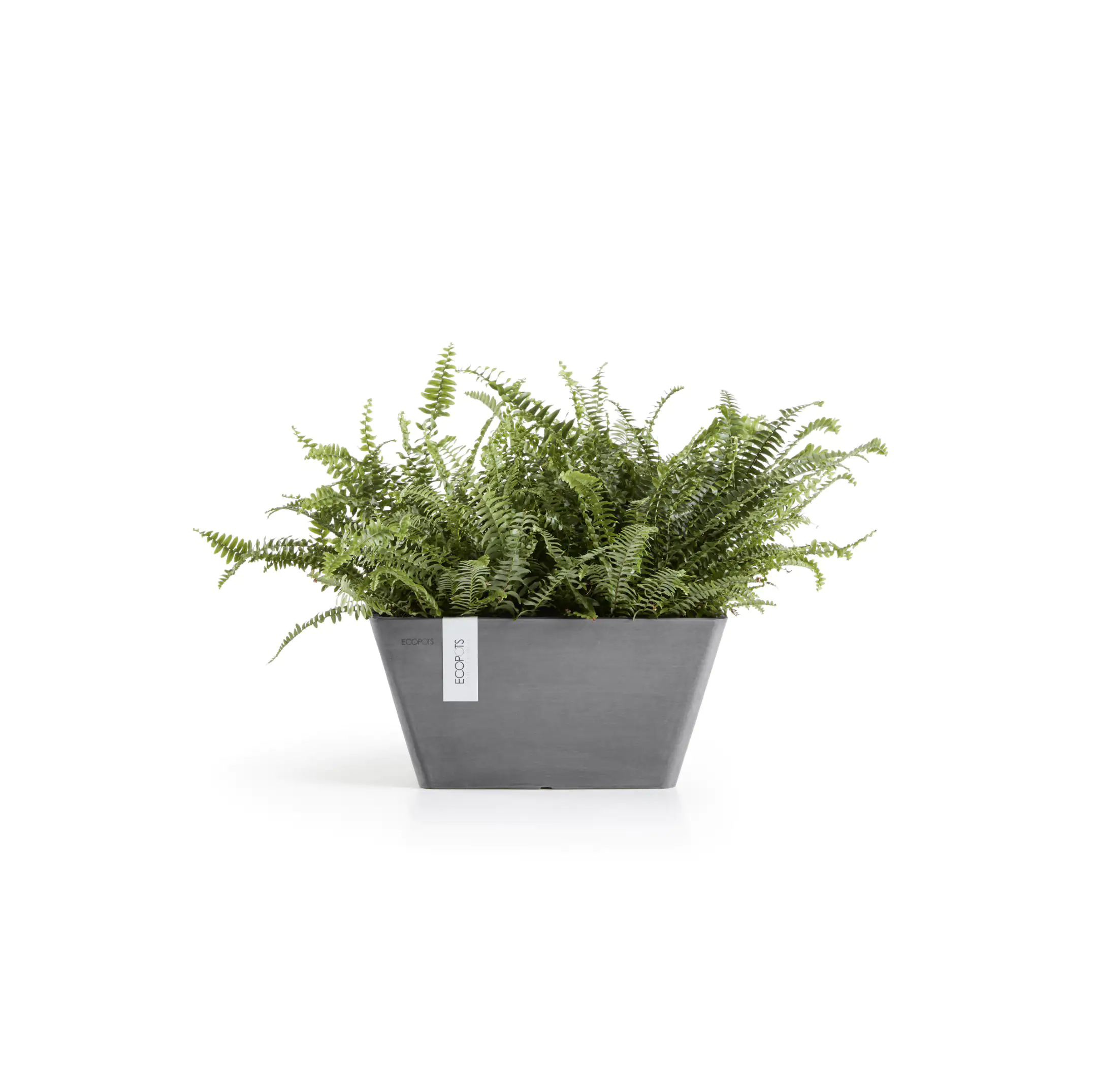 Ecopots Pflanztopf Berlin 31 x 31 x 15,5 cm grau