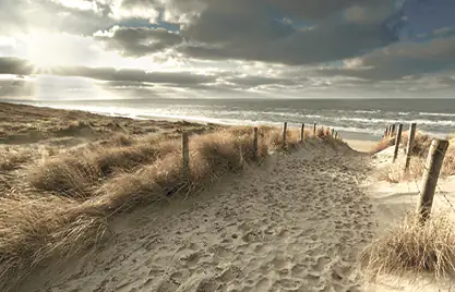 Deco-Canvas Bild - Dünenlandschaft 140 x 90 cm