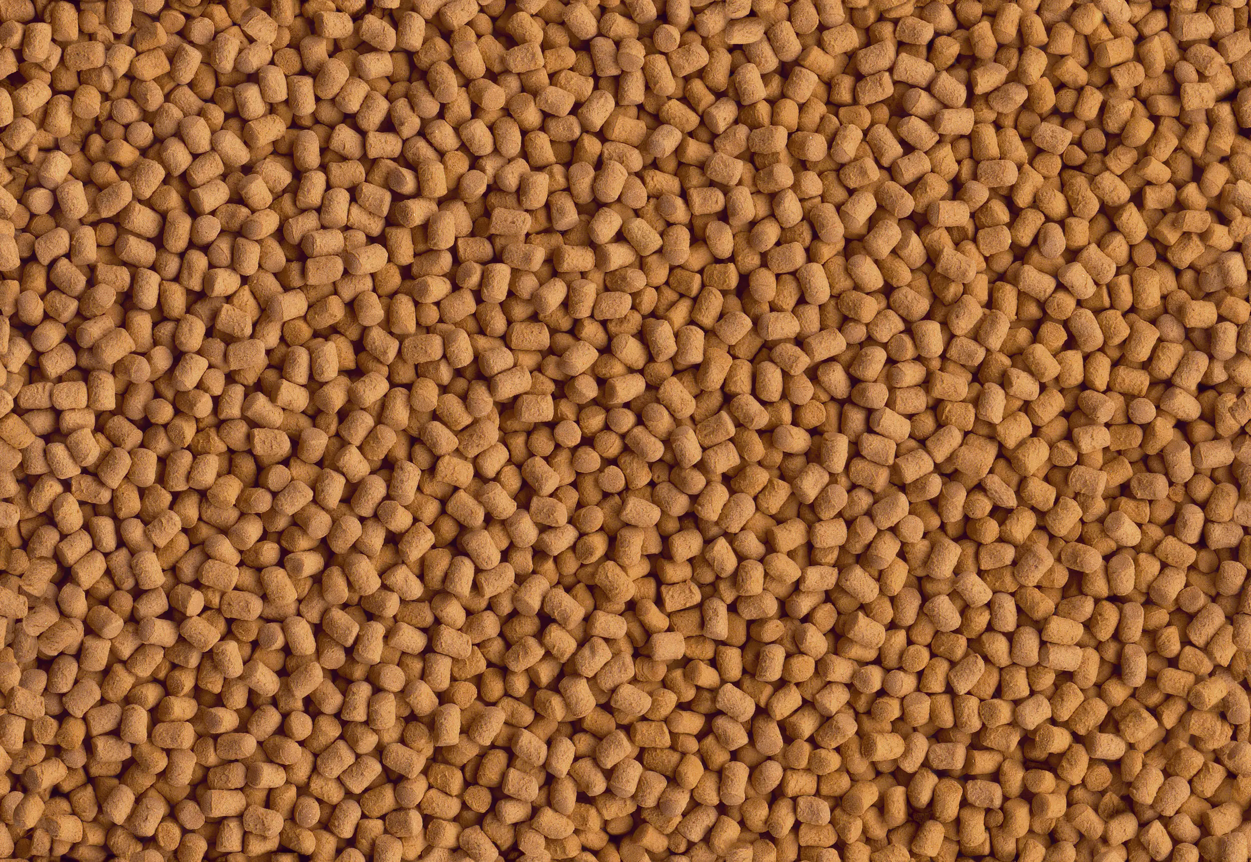 Tetra Cichlid ShrimpSticks 250 ml Tetra Cichlid ShrimpSticks 250 ml