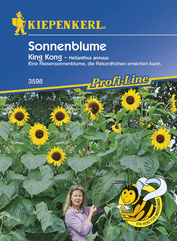 Kiepenkerl Sonnenblume King Kong Helianthus annuus, Inhalt ca. 15