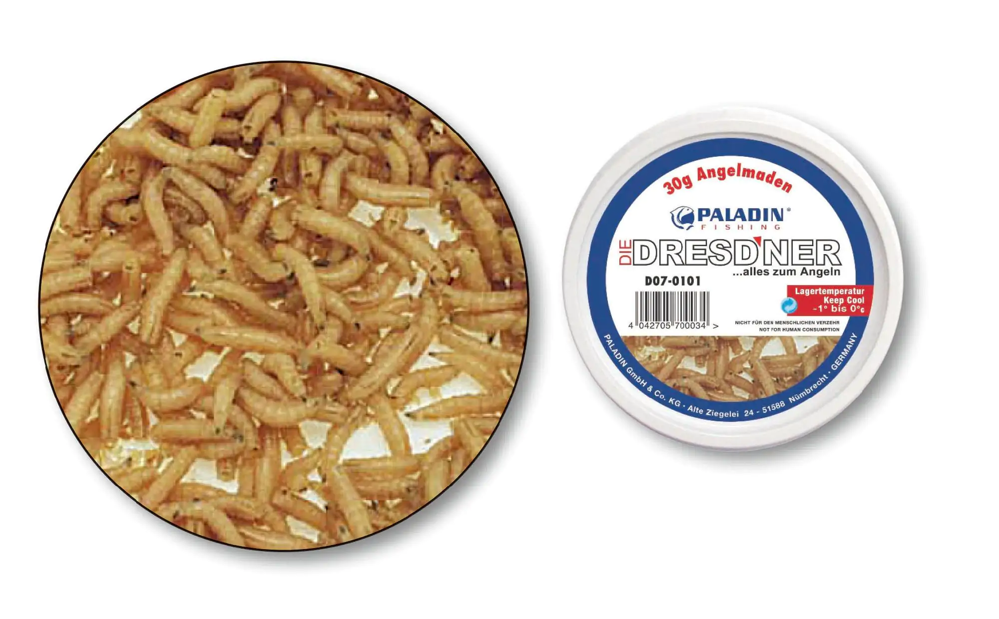 Dresdner Angelköder Maden 125 ml Dose