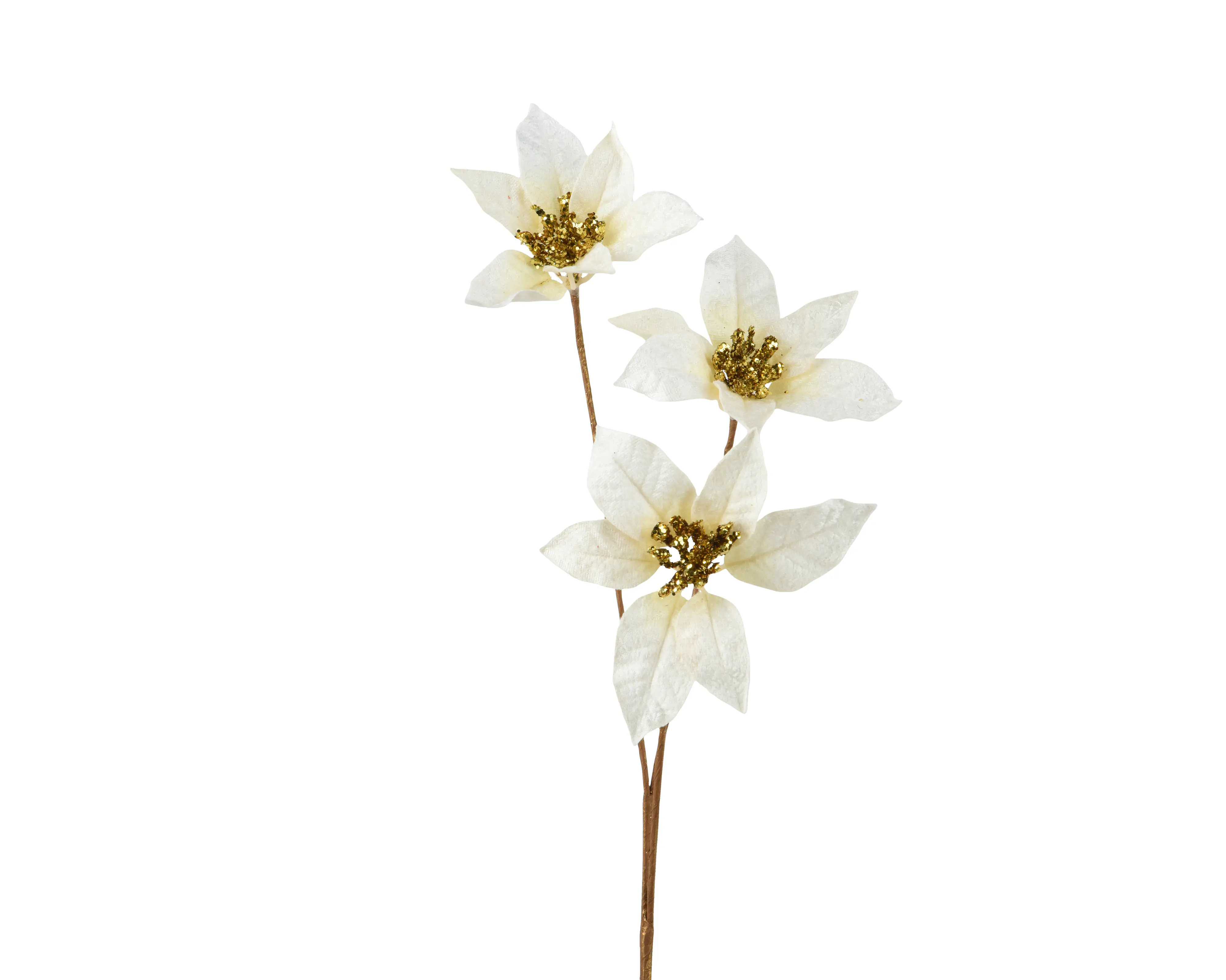 Everlands Weihnachtsdeko Poinsettia 17 x 10 x 60 cm creme