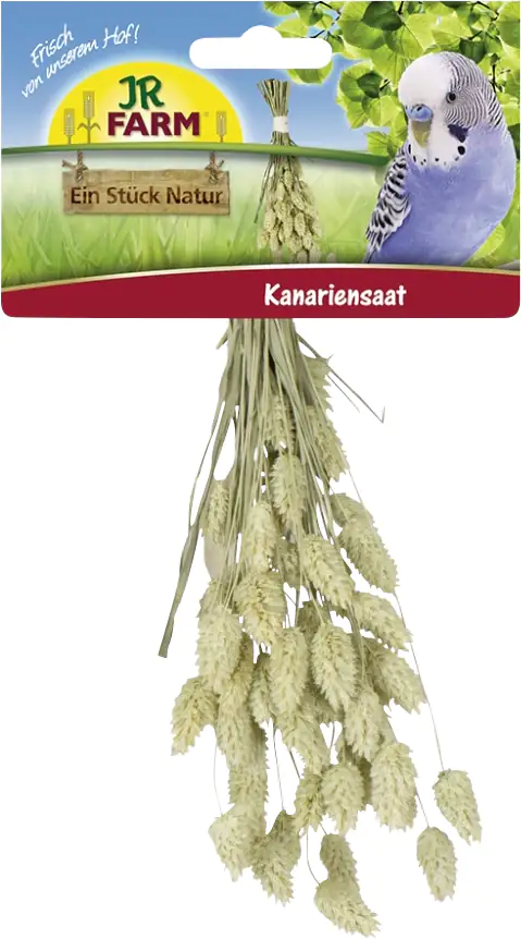 JR Birds Kanariensaat