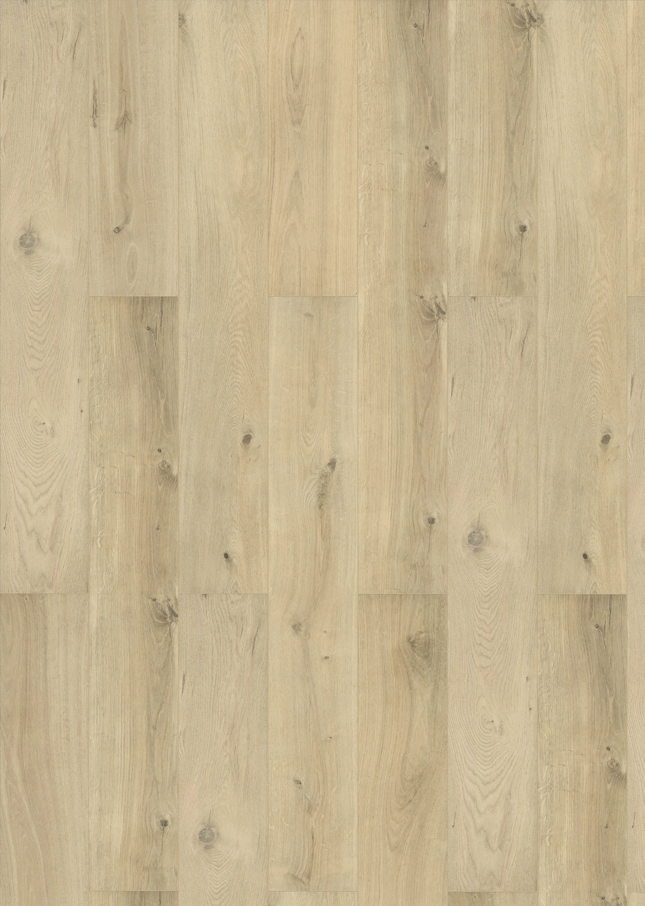 Classen Laminat 128,6 x 19,4 cm 7 mm Schatteneiche