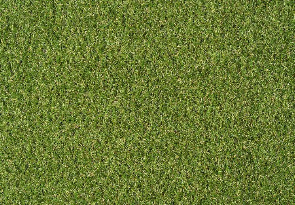 Kunstrasen Evergreen grün, 1 x 2 m