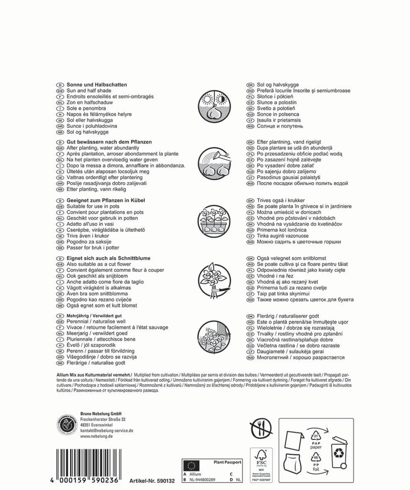 Pegasus Herbstblumenzwiebel Big Bag Allium Zierlauch Mischung 25 Stück