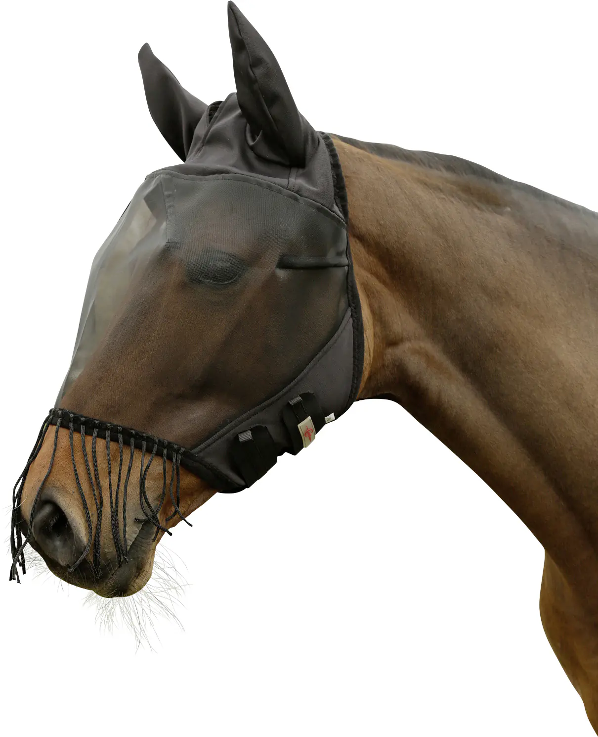 Kerbl Covalliero Fliegenschutzmaske Full mit Ohrenschutz und Nüsternkordel
