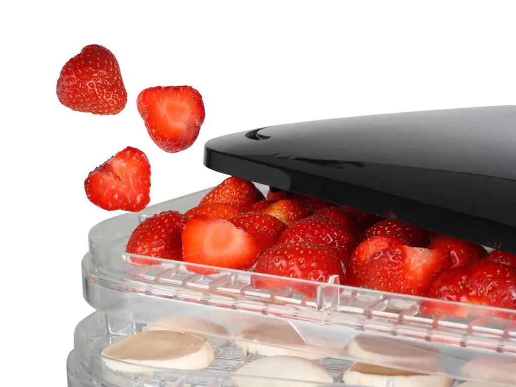 Princess Dörrautomat 6 Einsätz, 40-70 Grad C