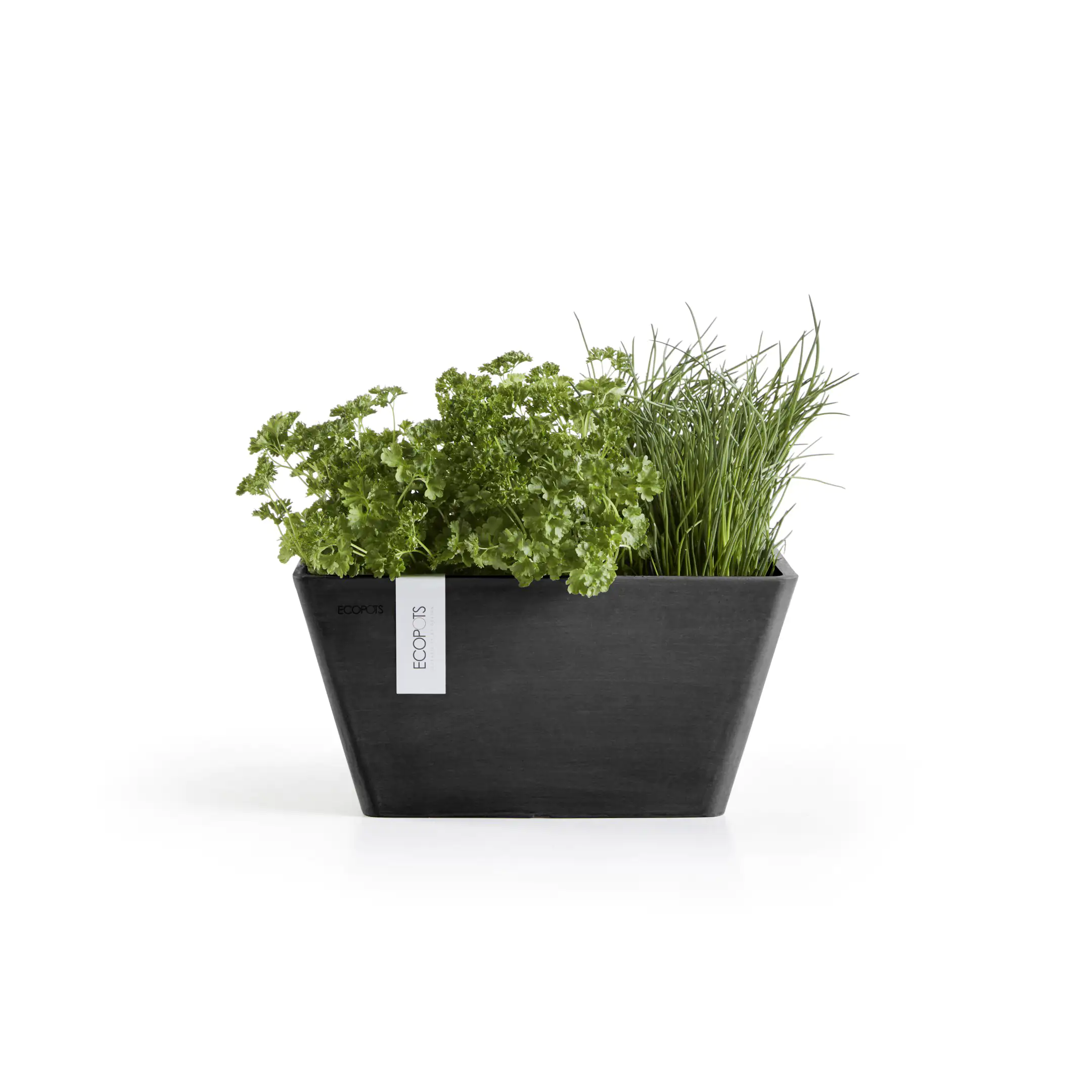 Ecopots Pflanztopf Berlin 41 x 41 x 18 cm dunkelgrau Ecopots Pflanztopf Berlin 41 x 41 x 18 cm dunkelgrau