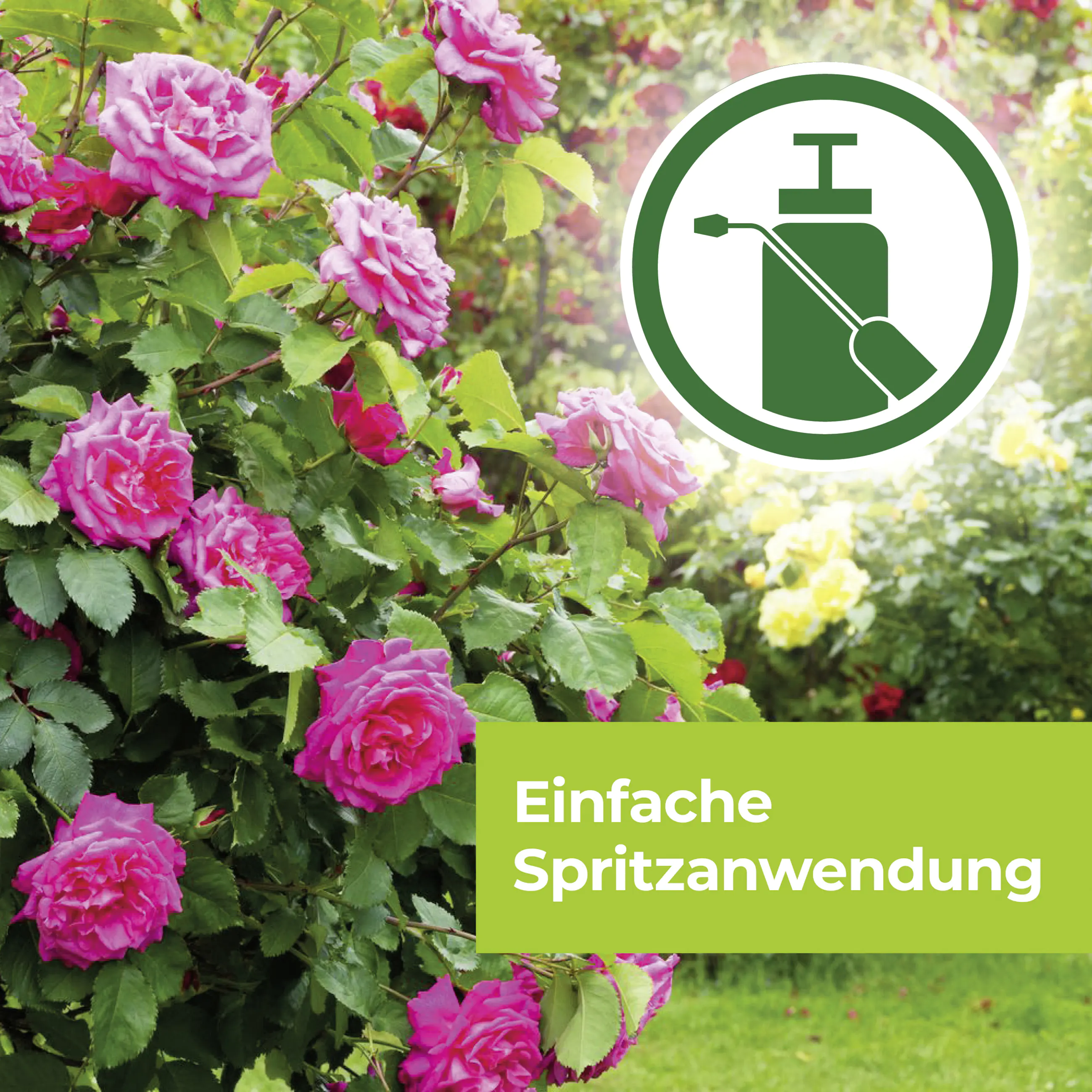 Protect Garden Curamat AZ Rosen-Pilzfrei 15 ml