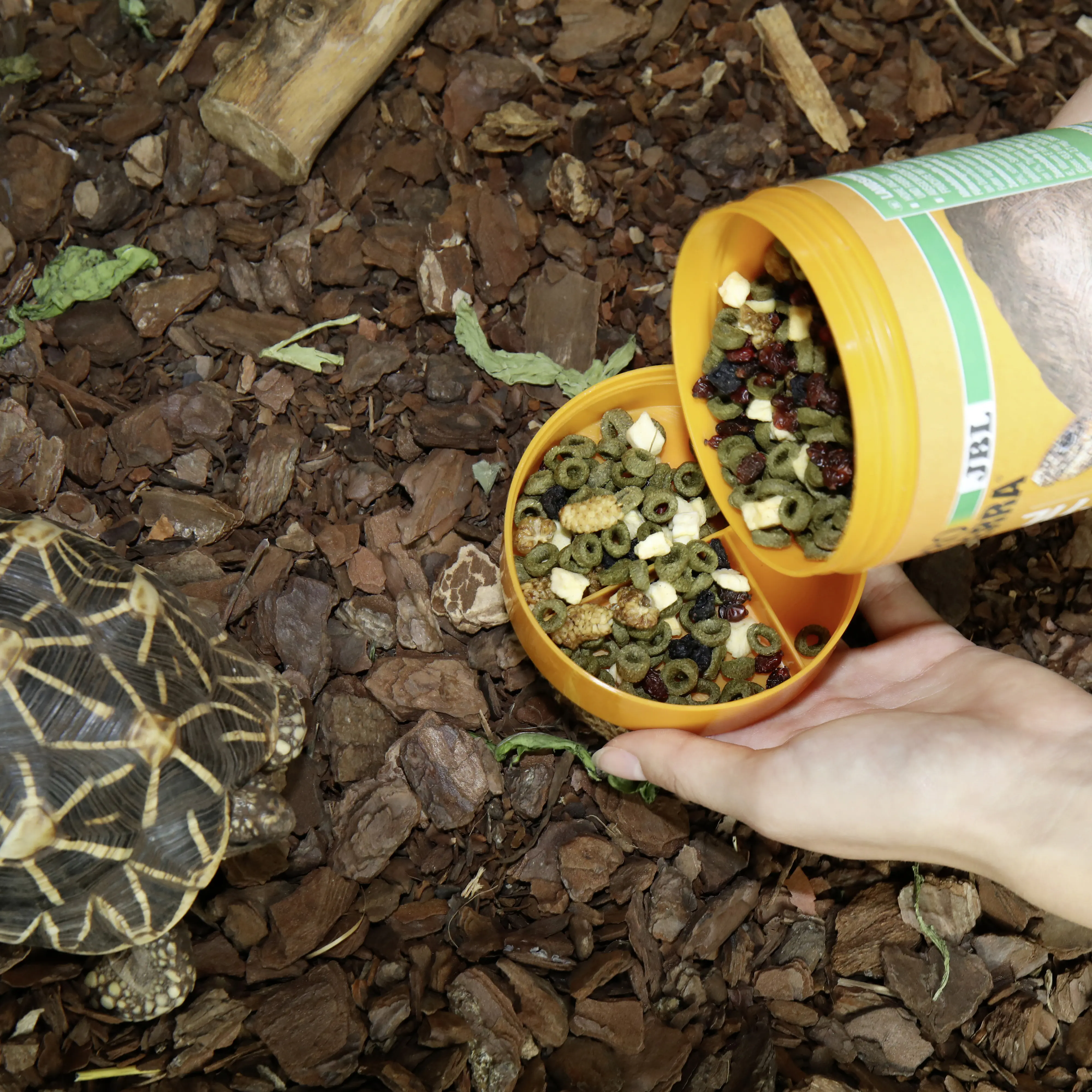 JBL Schildkrötenfutter Proterra Fructil 250 ml