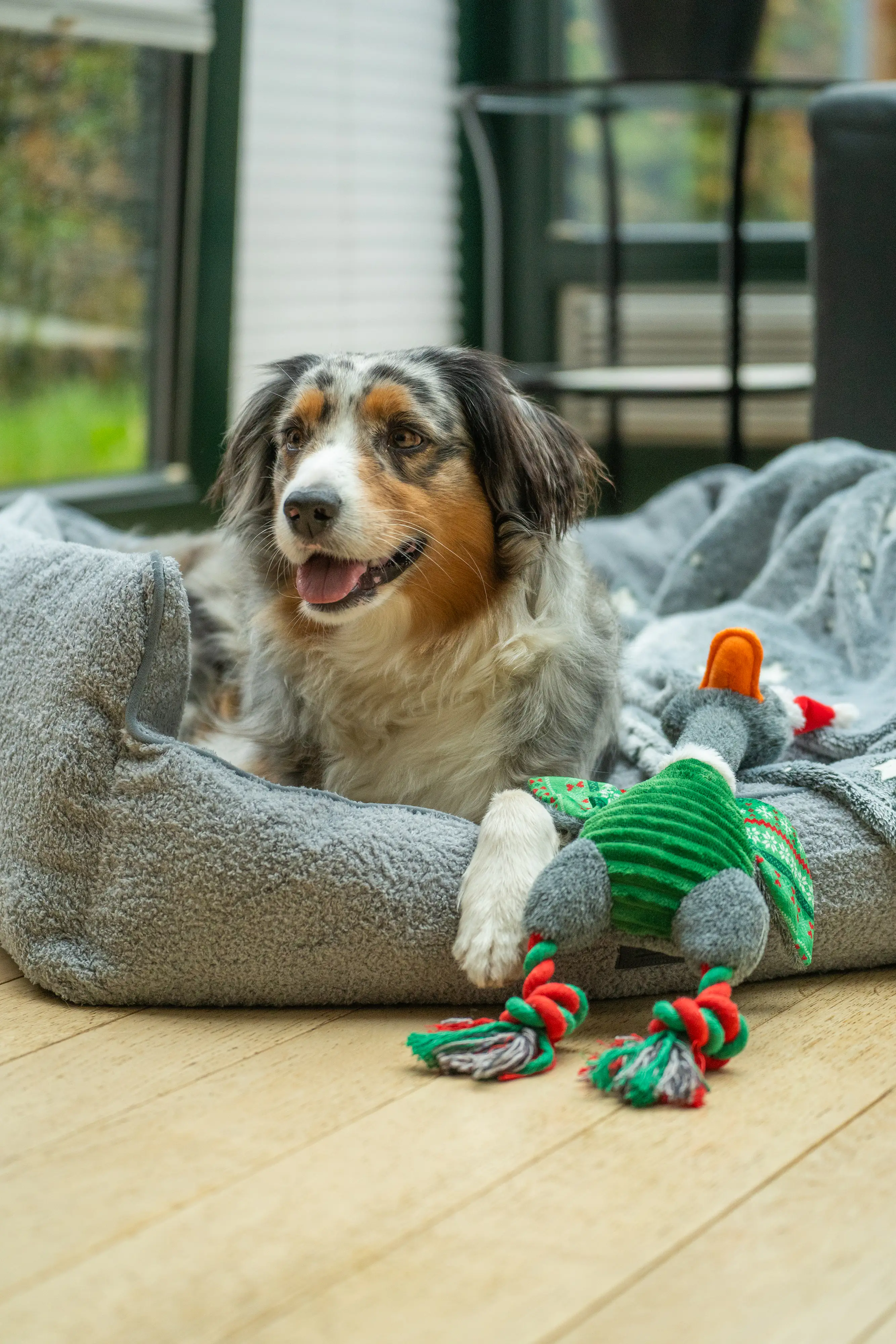 Nobby Hundespielzeug Xmas Gans 42 cm