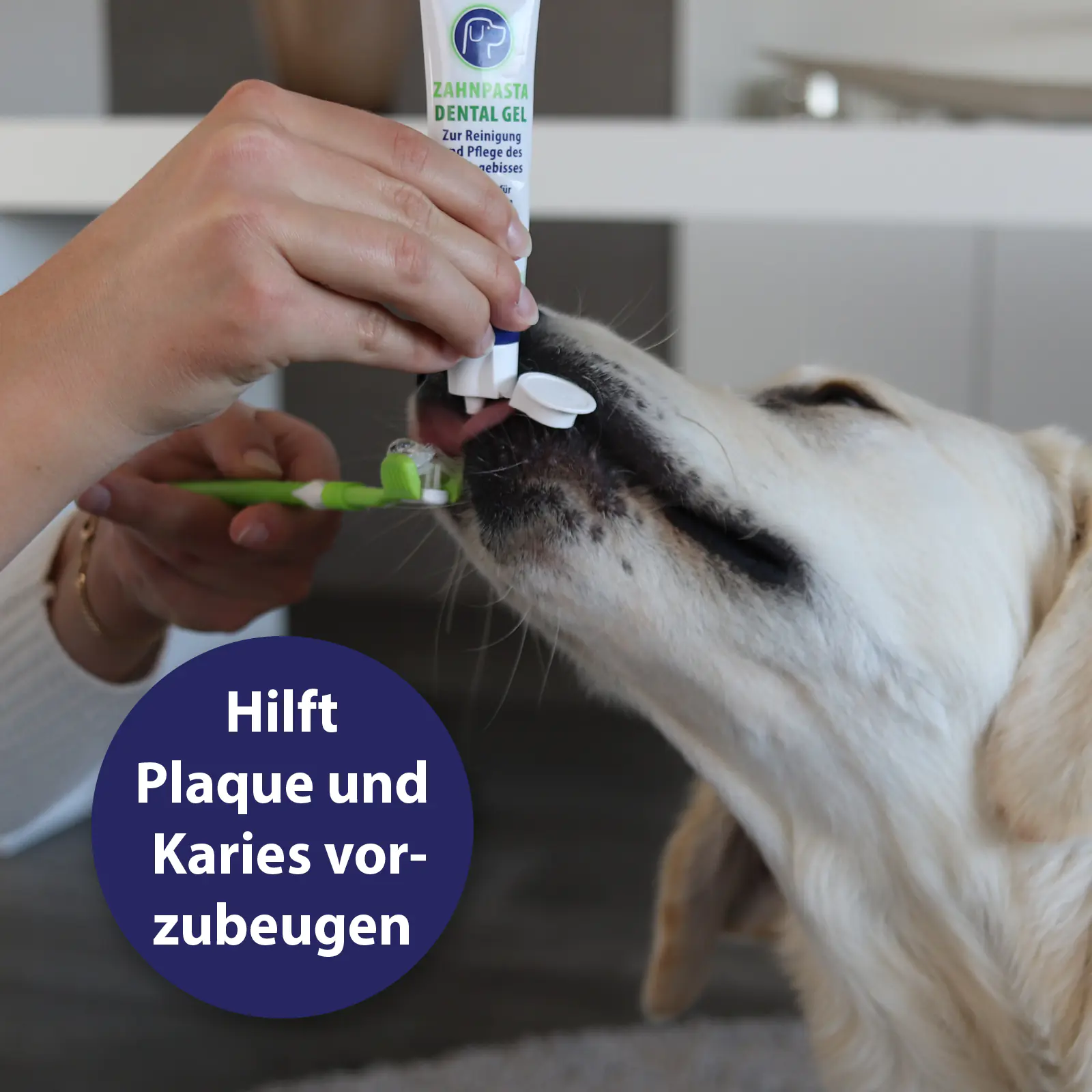 Canosept Zahnpasta Dental Gel für Hunde 100 g