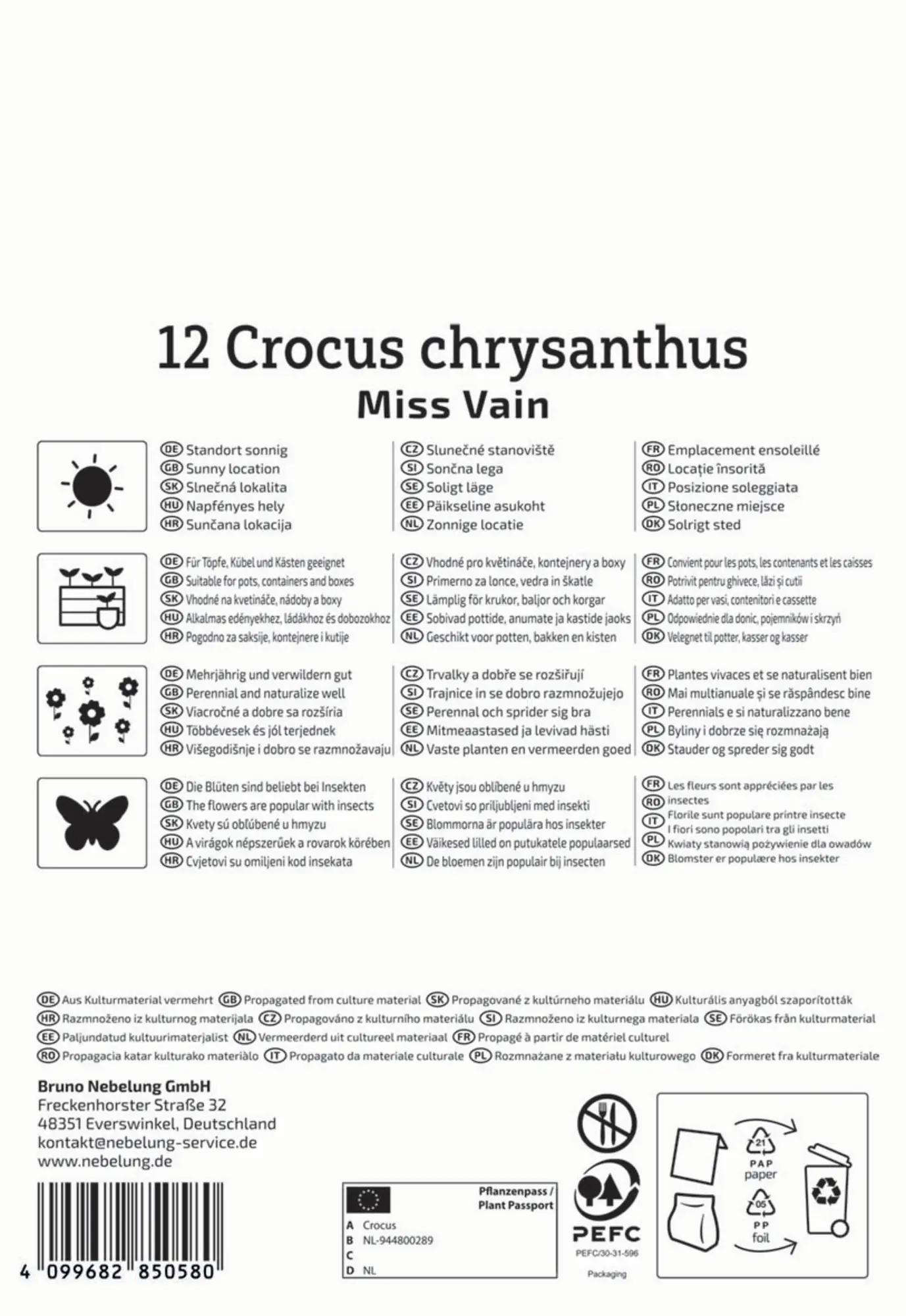 Kiepenkerl Herbstblumenzwiebel Krokus Miss Vain 12 Pflanzen