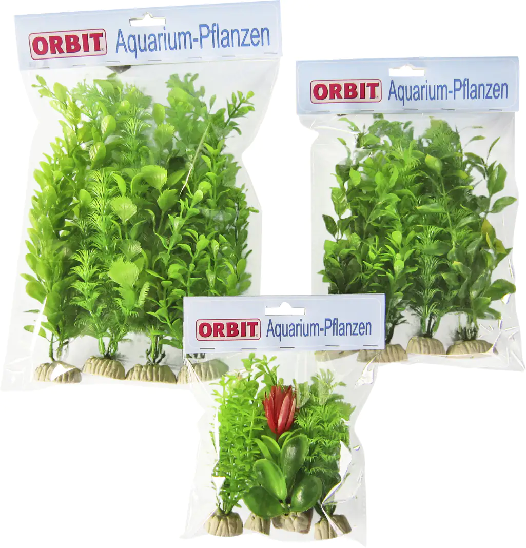 Orbit Aquapflanze grün Standard large