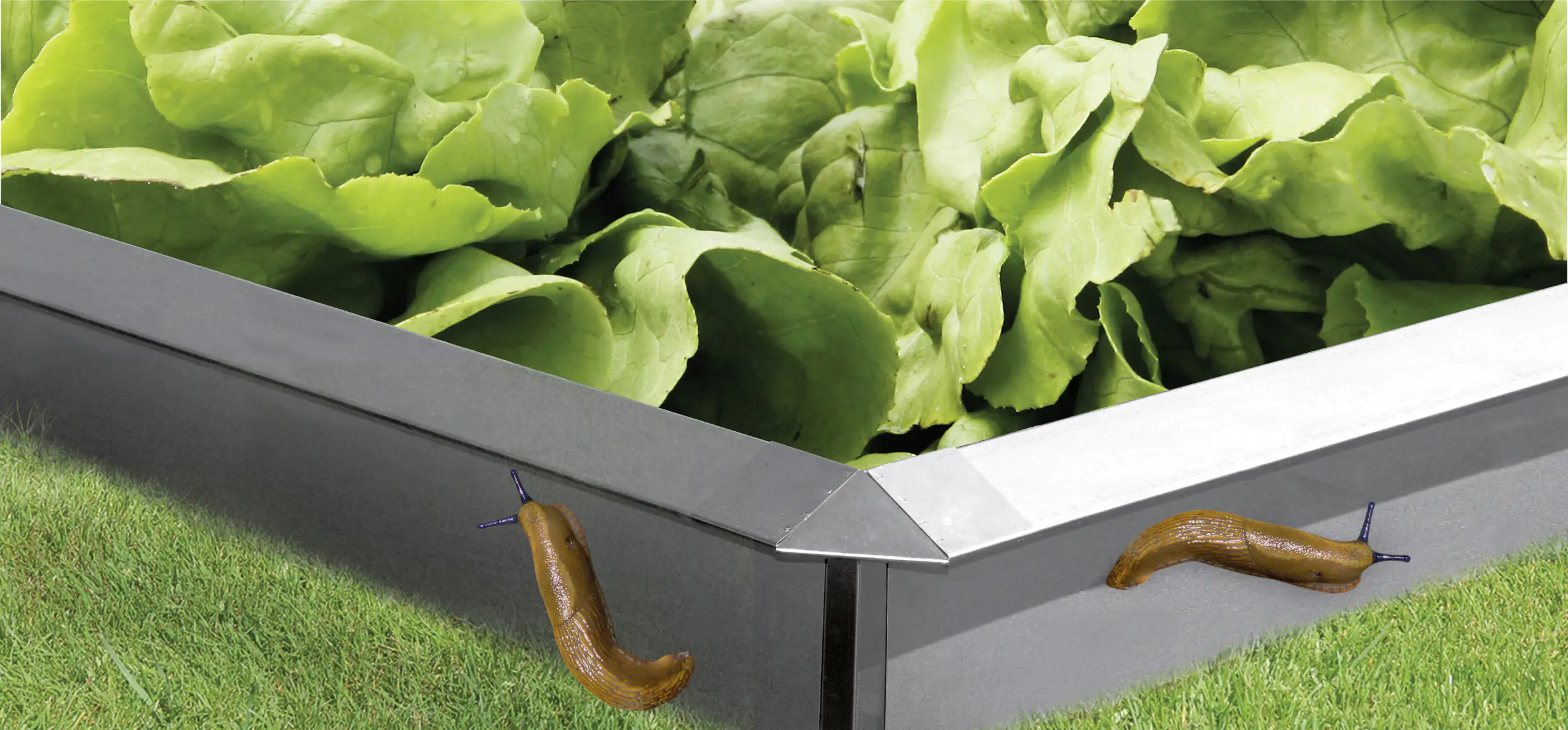 Bellissa Schneckenblech 100 x 50 cm