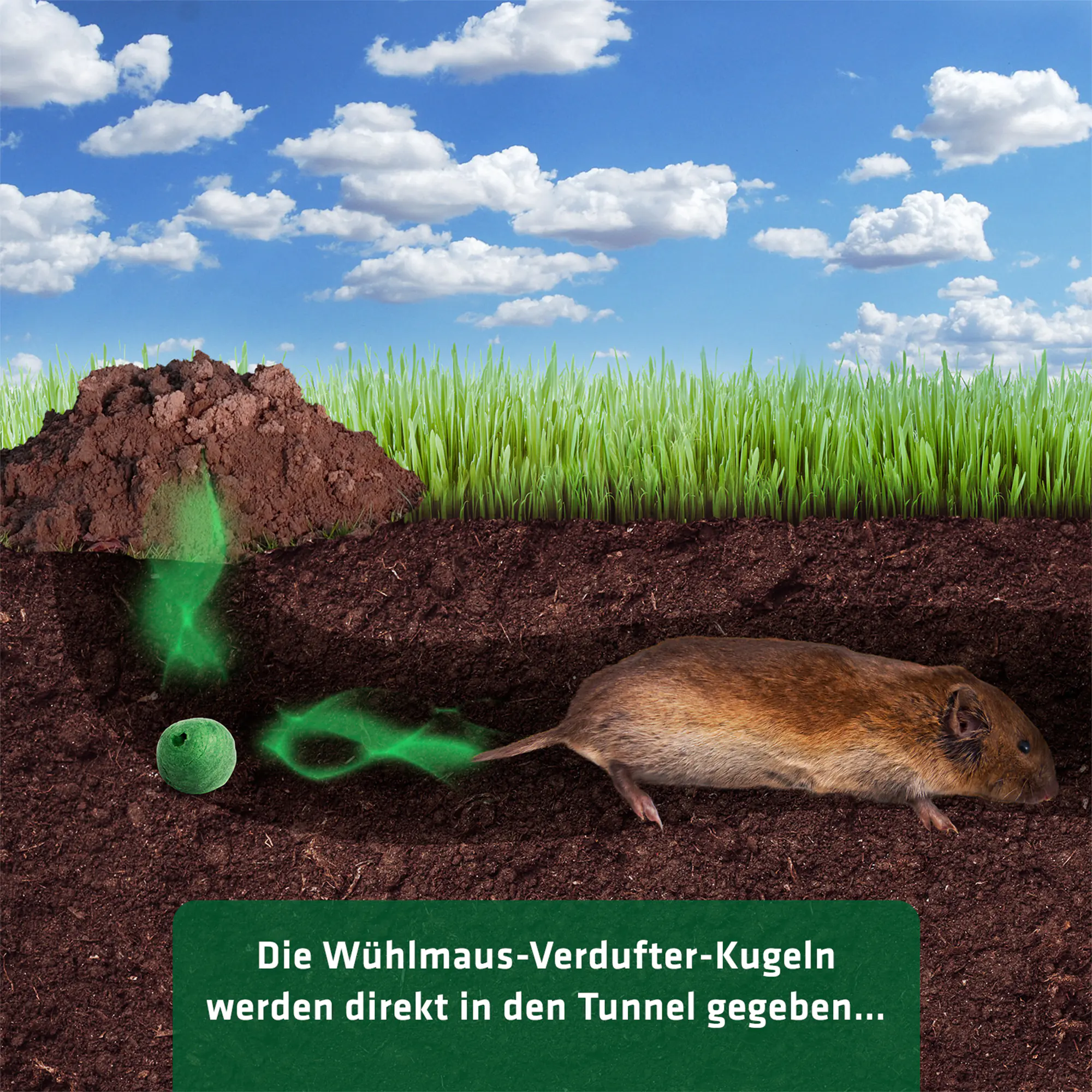 Gardigo Wühlmaus-Verdufter-Kugeln 50 Stück