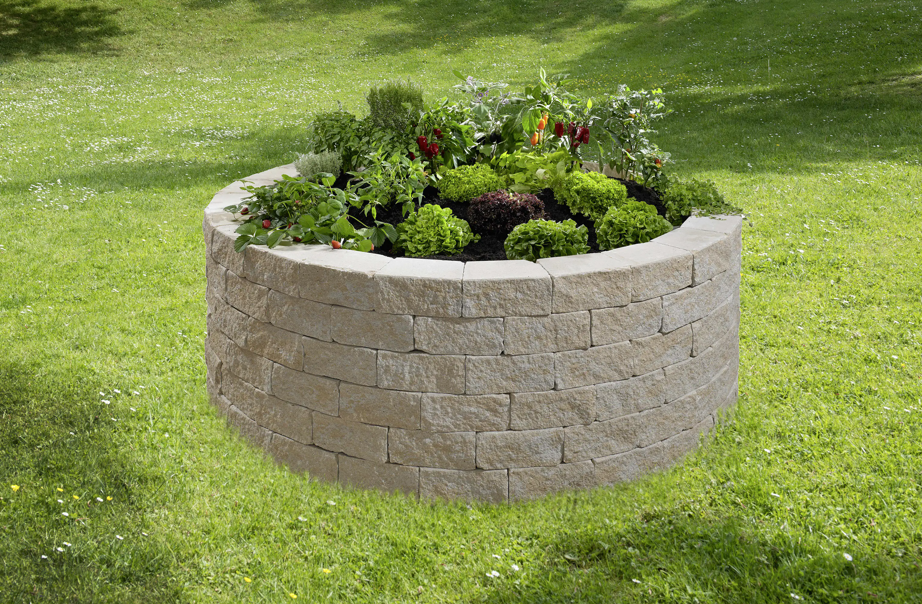 2077881026595_3 Kann Hochbeet-Set Vigneto-Rondell Ø 200 x 72 cm sandsteingelb
