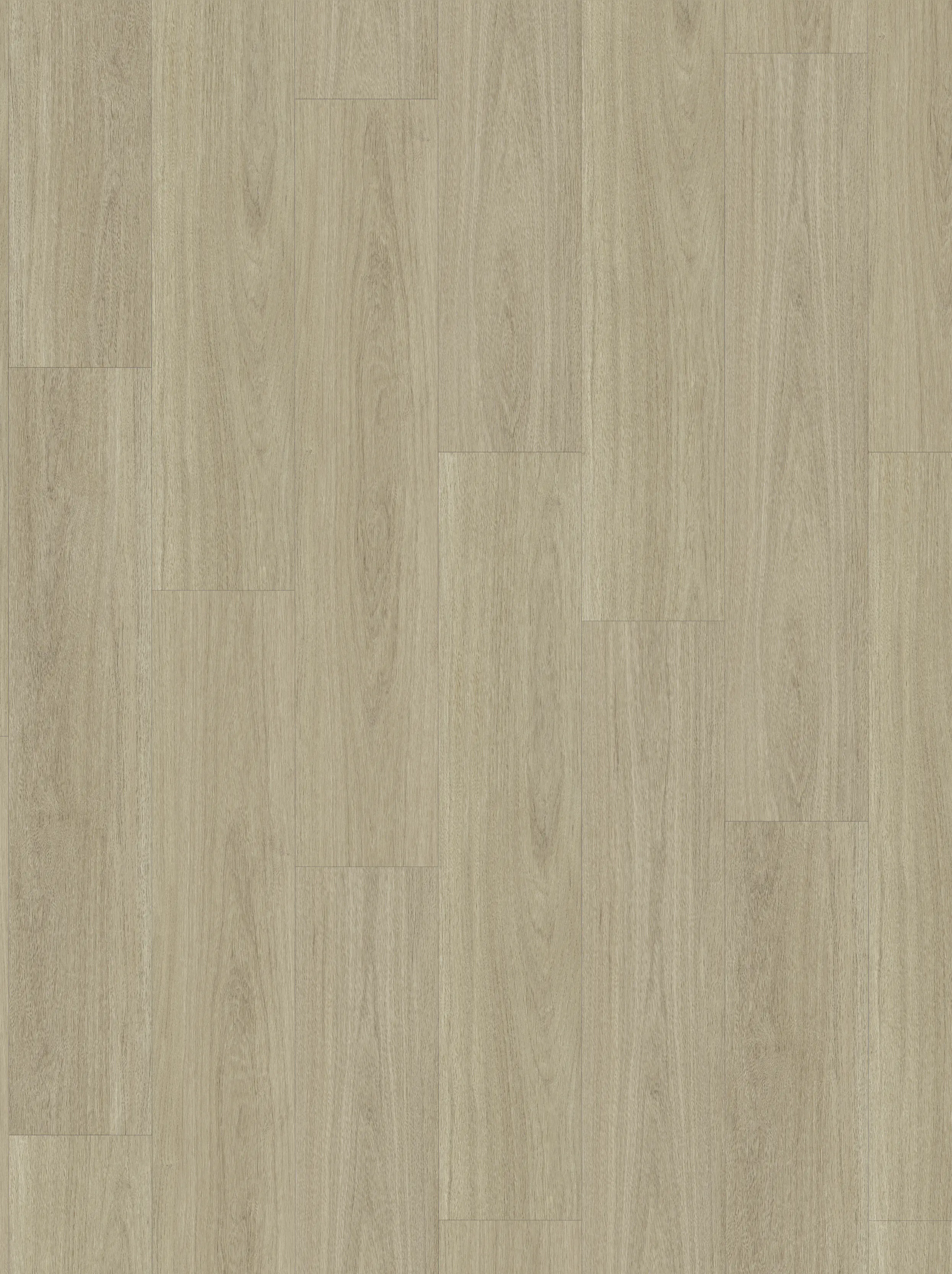 Parador Vinylboden mit Trillschalldämmung Basic 5.3 Eiche Oxford geschliffen Parador Vinylboden mit Trillschalldämmung Basic 5.3 Eiche Oxford geschliffen