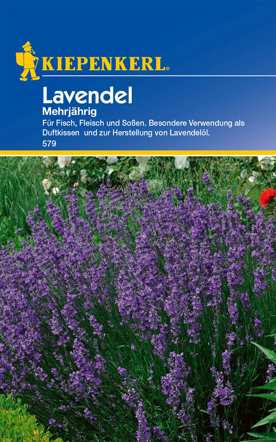 Kiepenkerl Lavendel mehrjährig