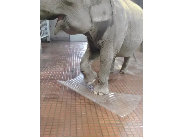 Gutta Polycarbonat-Wellplatte Sinus 76/18 250 x 90 cm 1,4 mm klar