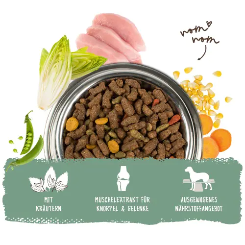 Bosch Trockenfutter für Hunde Adult Menue 3 kg mit Kräutern Bosch Trockenfutter für Hunde Adult Menue 3 kg mit Kräutern