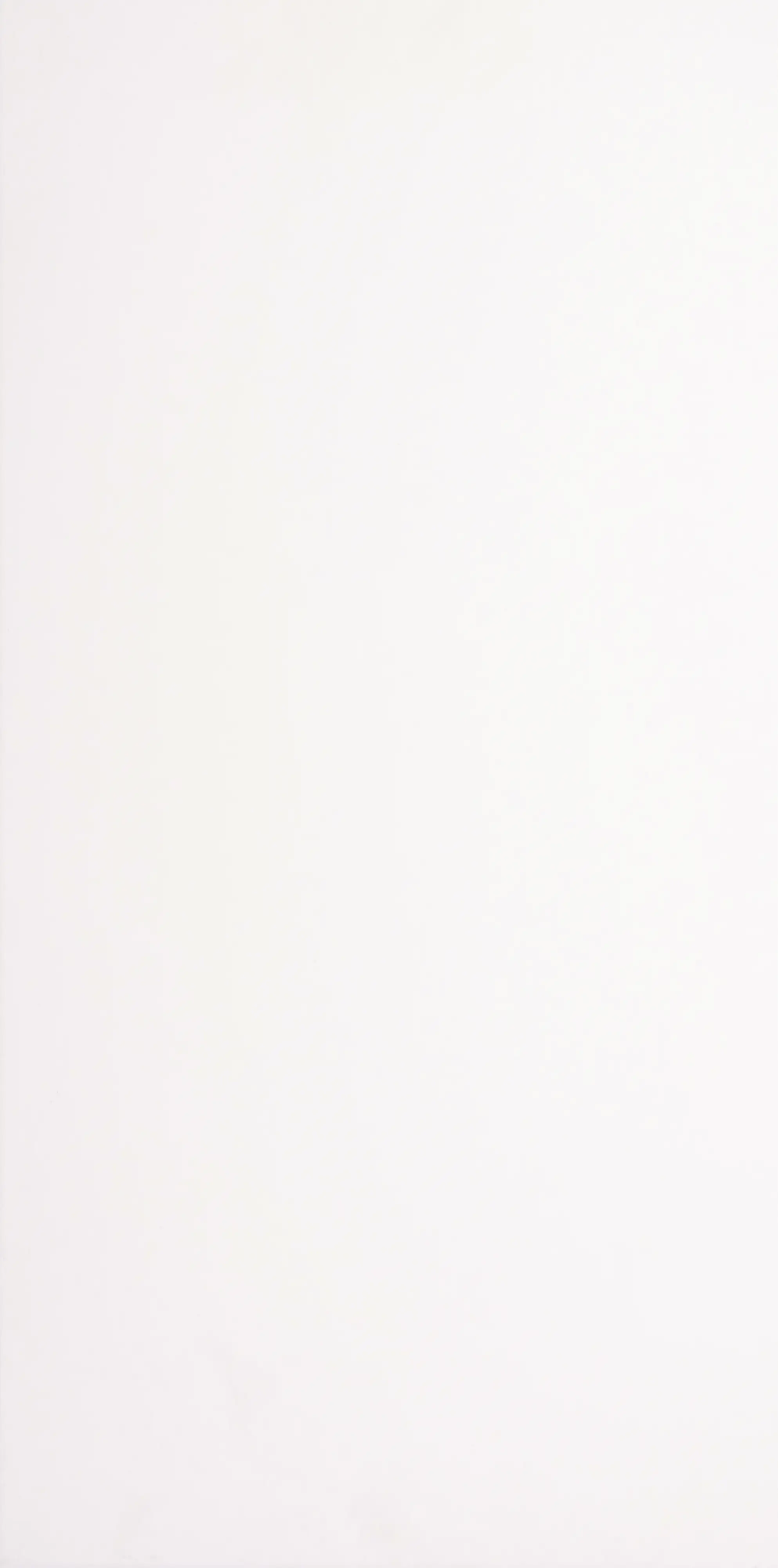 Wandfliese Polaris 30 x 60 cm weiß glänzend Wandfliese Polaris 30 x 60 cm weiß glänzend
