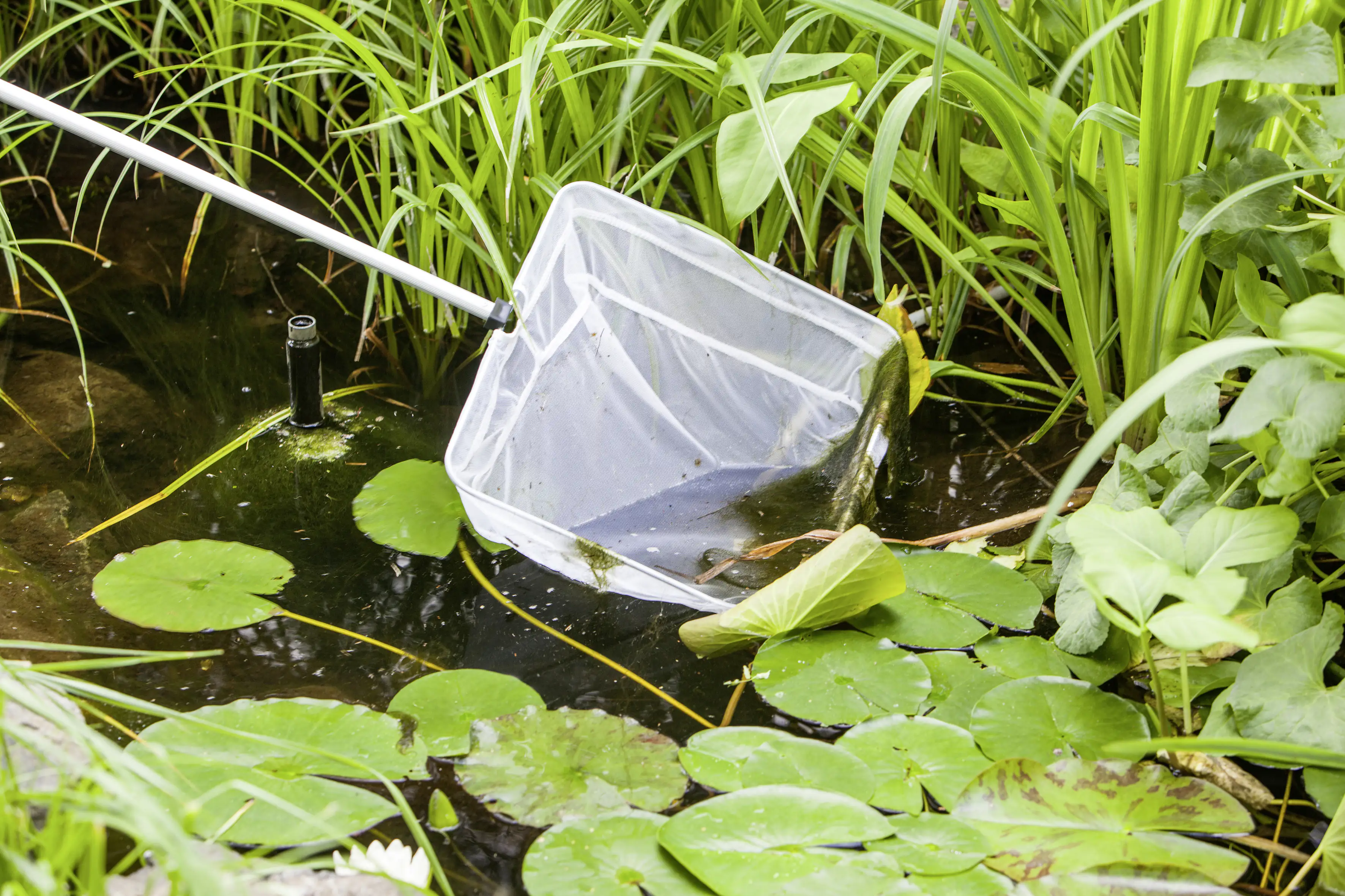 Heissner Teichkescher Profi