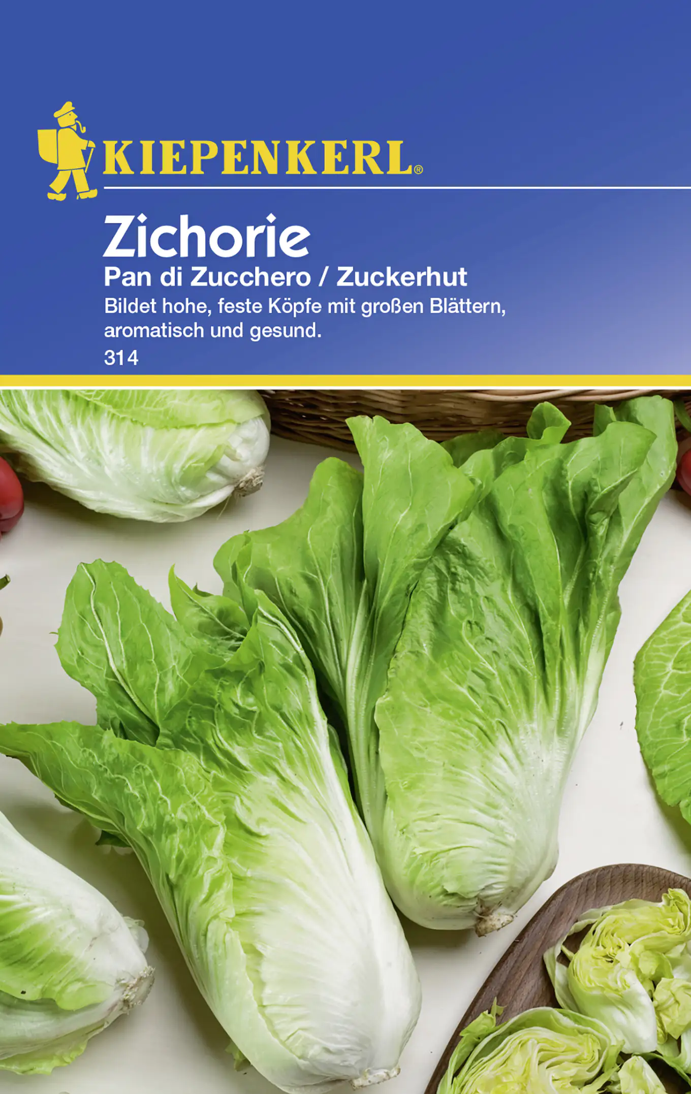 Kiepenkerl Zichorie Pan di Zucchero Cichorium intybus var. foliosum, Inhalt: ca. 150 Pflanzen