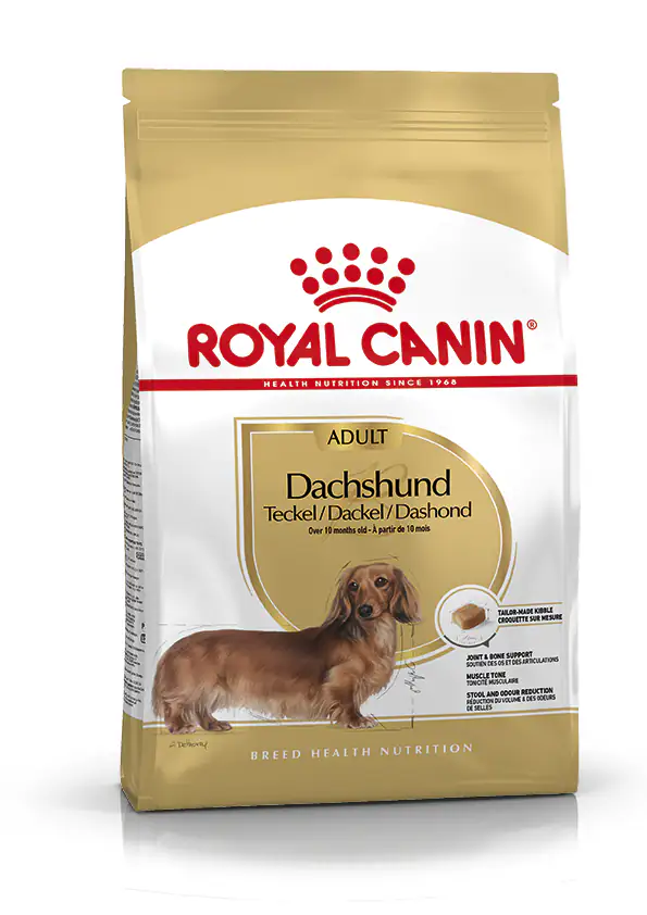 Royal Canin Adult Trockenfutter Dachshund 0,5 kg