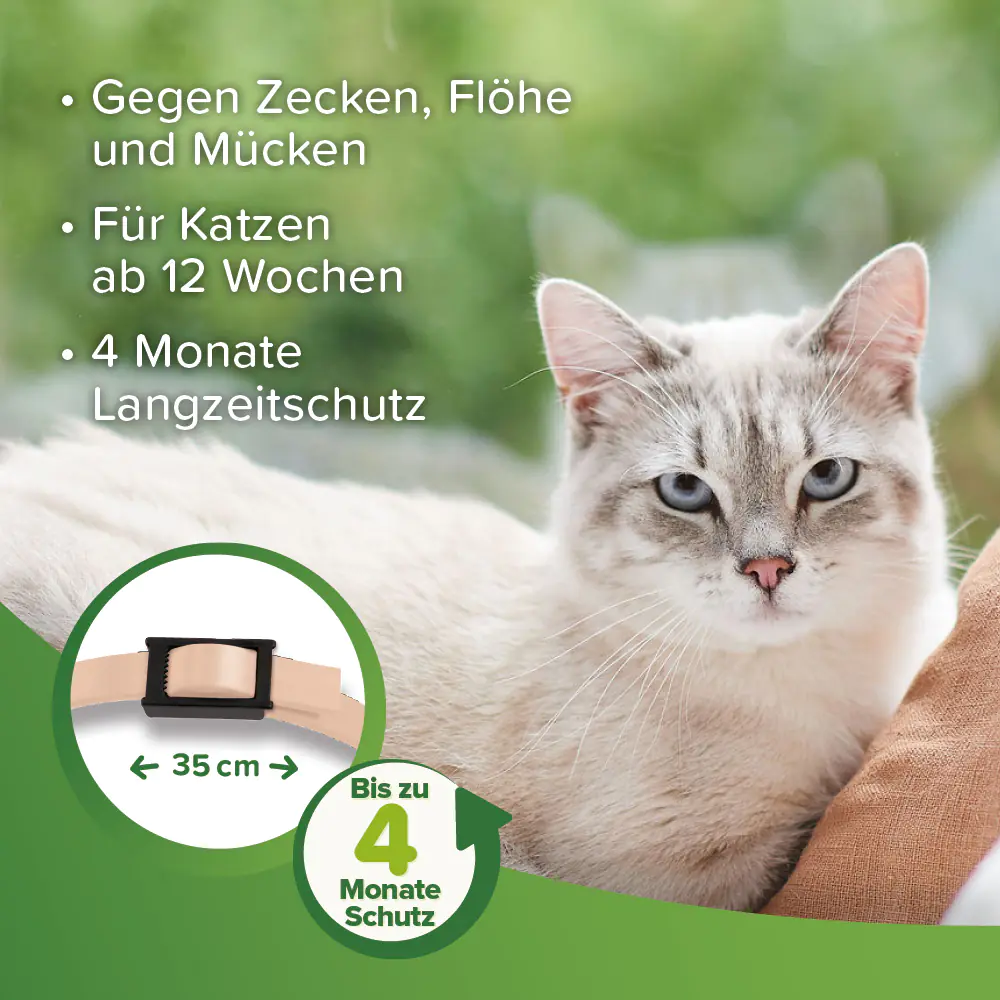 Beaphar Zecken- und Floh-Halsband für Katzen beige 35 cm