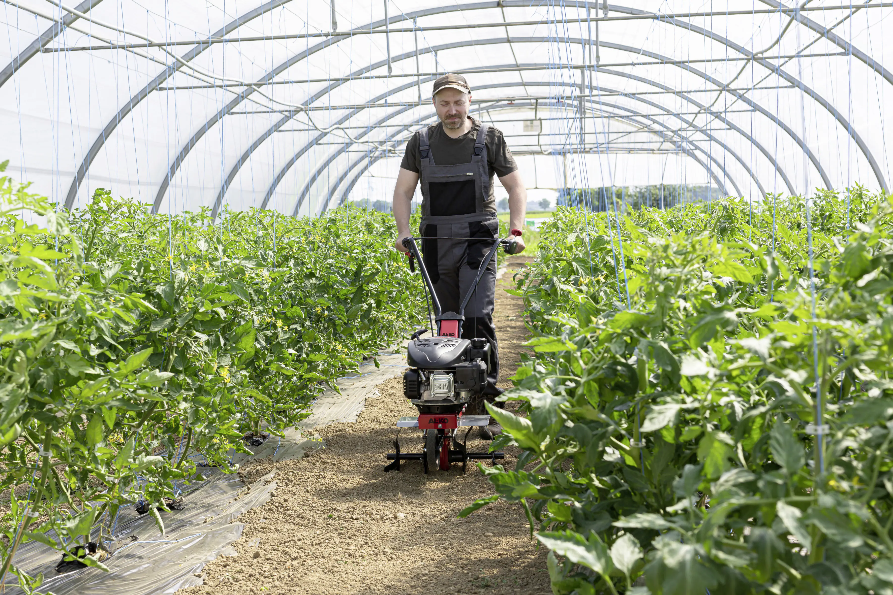 AL-KO Benzin-Motorhacke MH 360 Easy 2,2 kW, 36 cm Arbeitsbreite