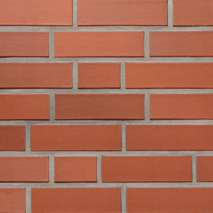 Klinker Heide 24 x 11,5 x 7 cm rot