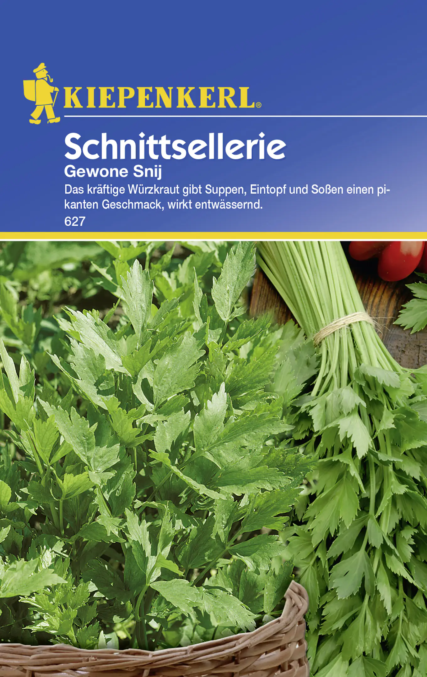 Kiepenkerl Schnittsellerie Gewone Snij Apium graveolens var. secalinum, Inhalt: ca. 100 Pflanzen Kiepenkerl Schnittsellerie Gewone Snij Apium graveolens var. secalinum, Inhalt: ca. 100 Pflanzen
