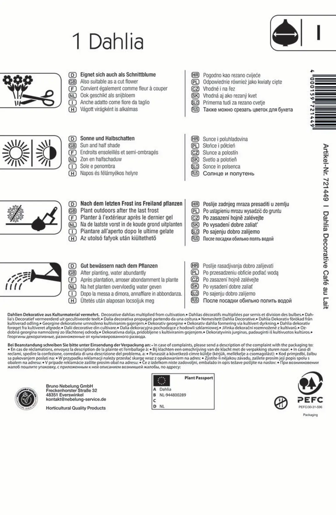 Kiepenkerl Dekorative Dahlie Café au Lait