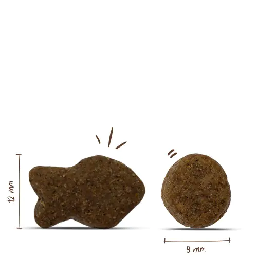 Bosch Trockenfutter für Hunde Adult 1 kg mit Fisch & Kartoffel Bosch Trockenfutter für Hunde Adult 1 kg mit Fisch & Kartoffel