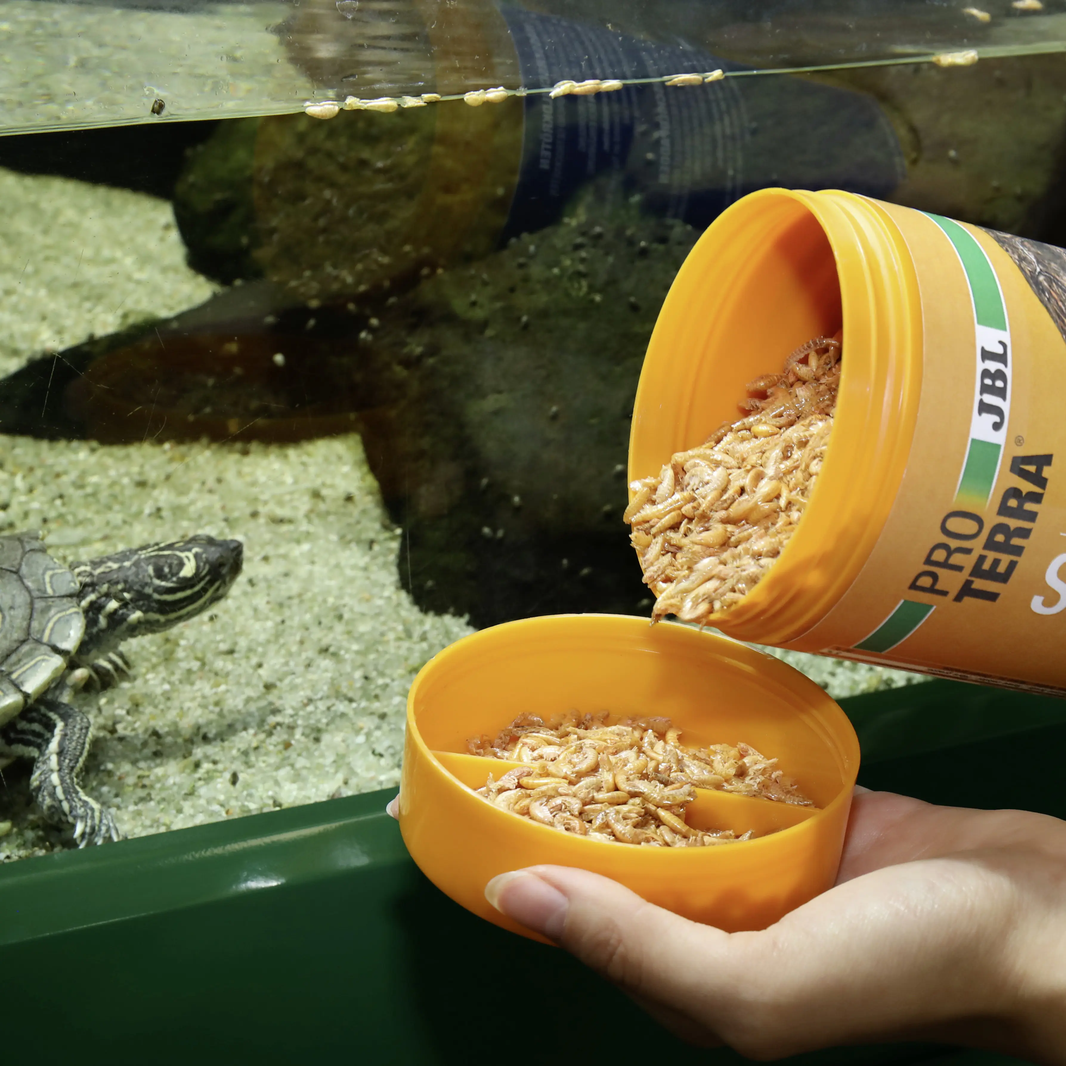 JBL Schildkrötenfutter Proterra Gammarus 250 ml